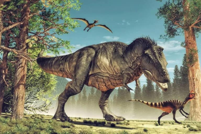 ¿Qué habla la Biblia sobre los dinosaurios?